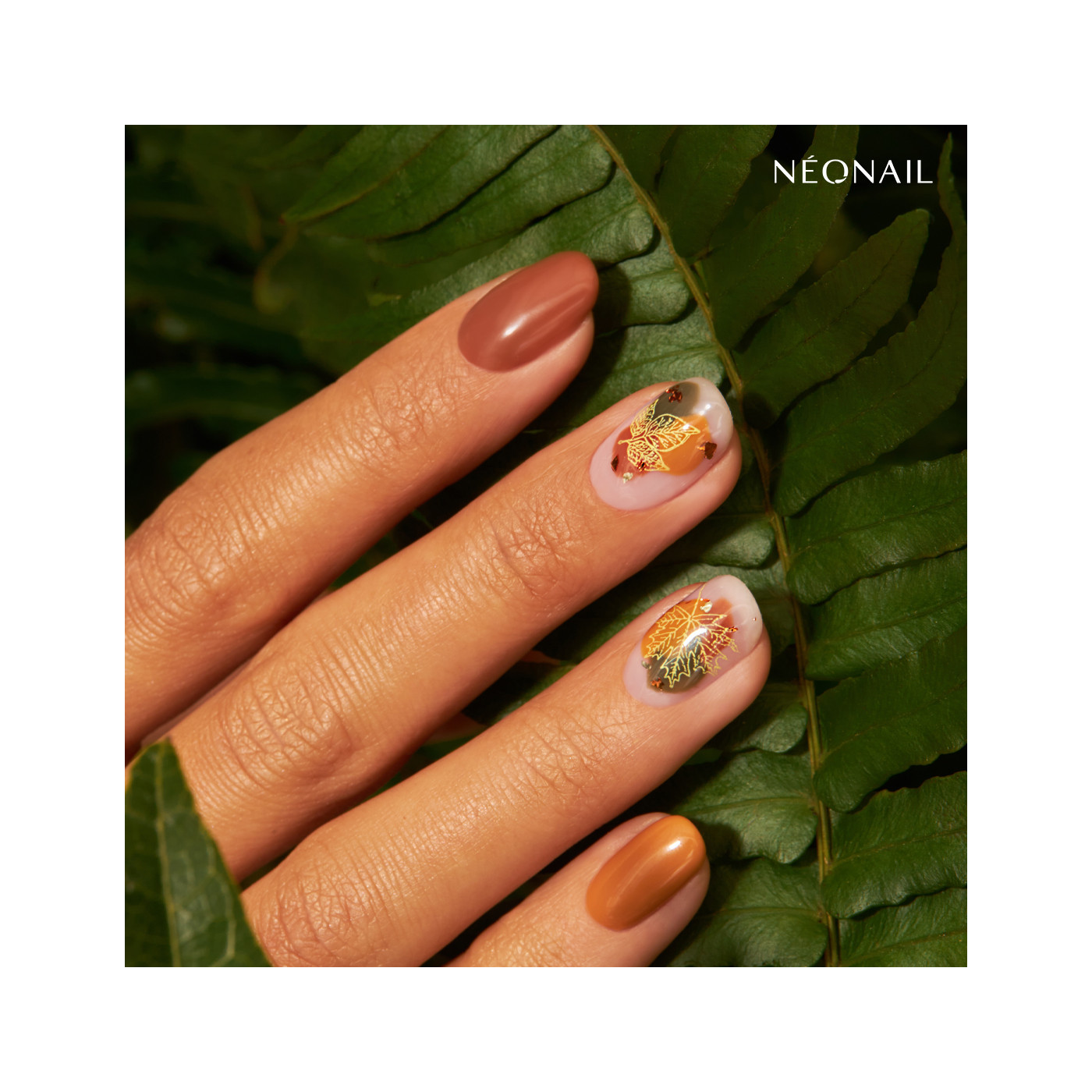 Plaque de stamping - feuilles