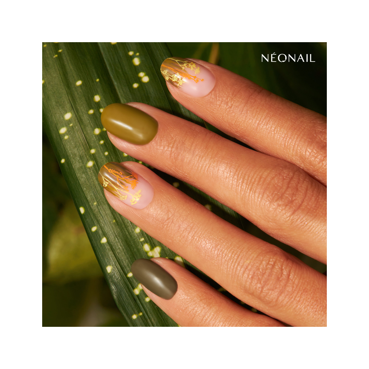 Plaque de stamping - v&eacute;g&eacute;tal