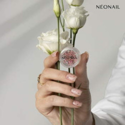 Dried flowers 01 - Rose