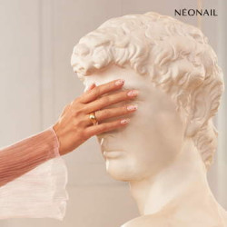 Dried flowers 01 - Rose