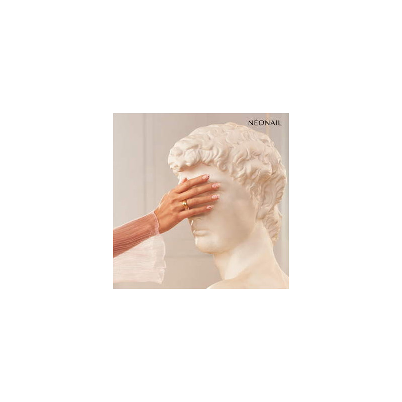 Dried flowers 01 - Rose