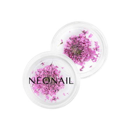 Dried flowers 02 - Violet