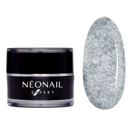 Paint UV Gel NN Expert 5ml - Metalic Silver