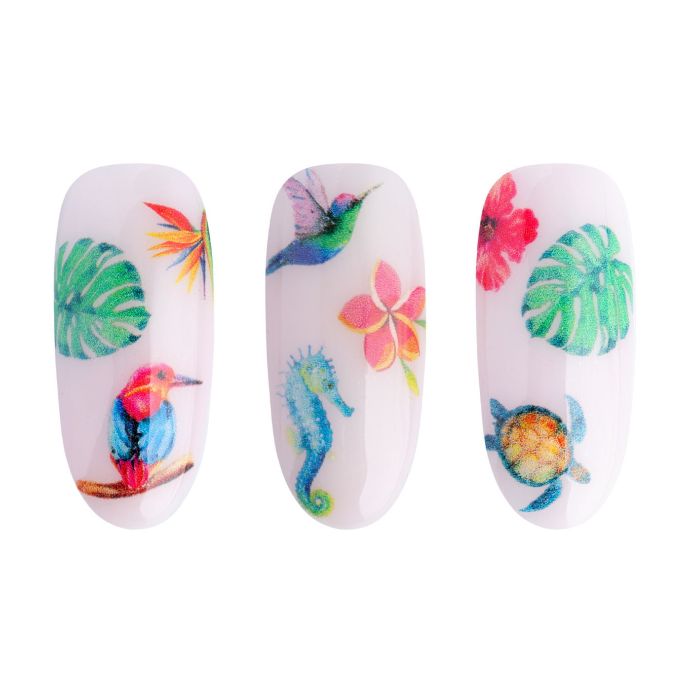 Stickers &agrave; l'eau - Water Stickers - NN34