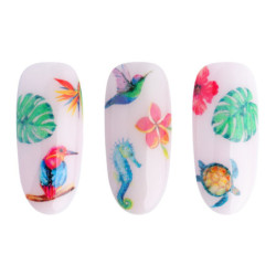 Stickers &agrave; l'eau - Water Stickers - NN34