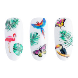 Stickers &agrave; l'eau - Water Stickers - NN35