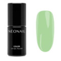 Vernis Semi-Permanent 7,2 ml - Eternal Fantasies