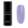 Violet Stardust - Vernis Semi-Permanent 7,2 ml