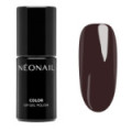 Vernis Semi-Permanent 7,2 ml - Painted Shadows