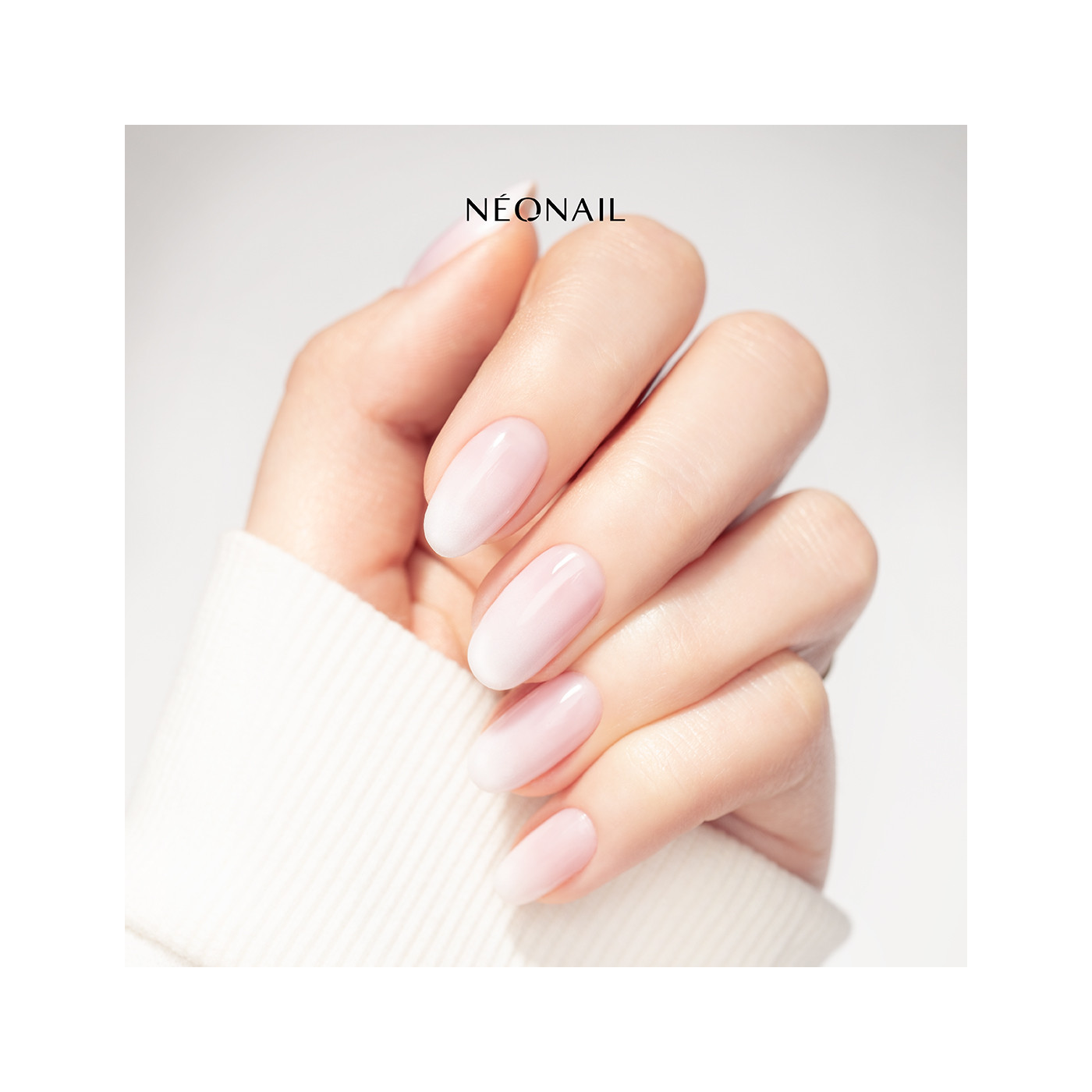 Baby Boomer Set Rose