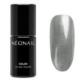Vernis Semi-Permanent 7,2 ml - Silver Sheen