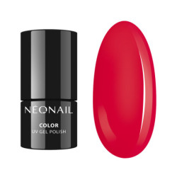 Starter Set Adorable