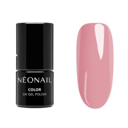 Starter Set Les Essentiels