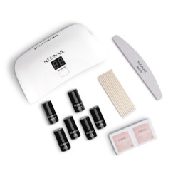 Starter Set Color Favorites