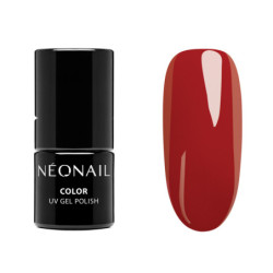 Starter Set Color Favorites