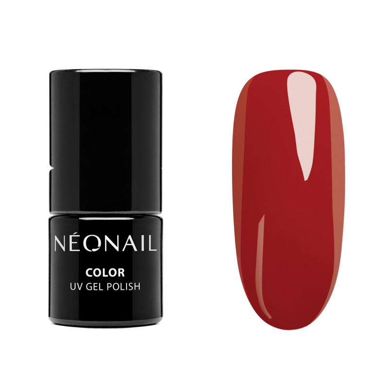 Starter Set Color Favorites