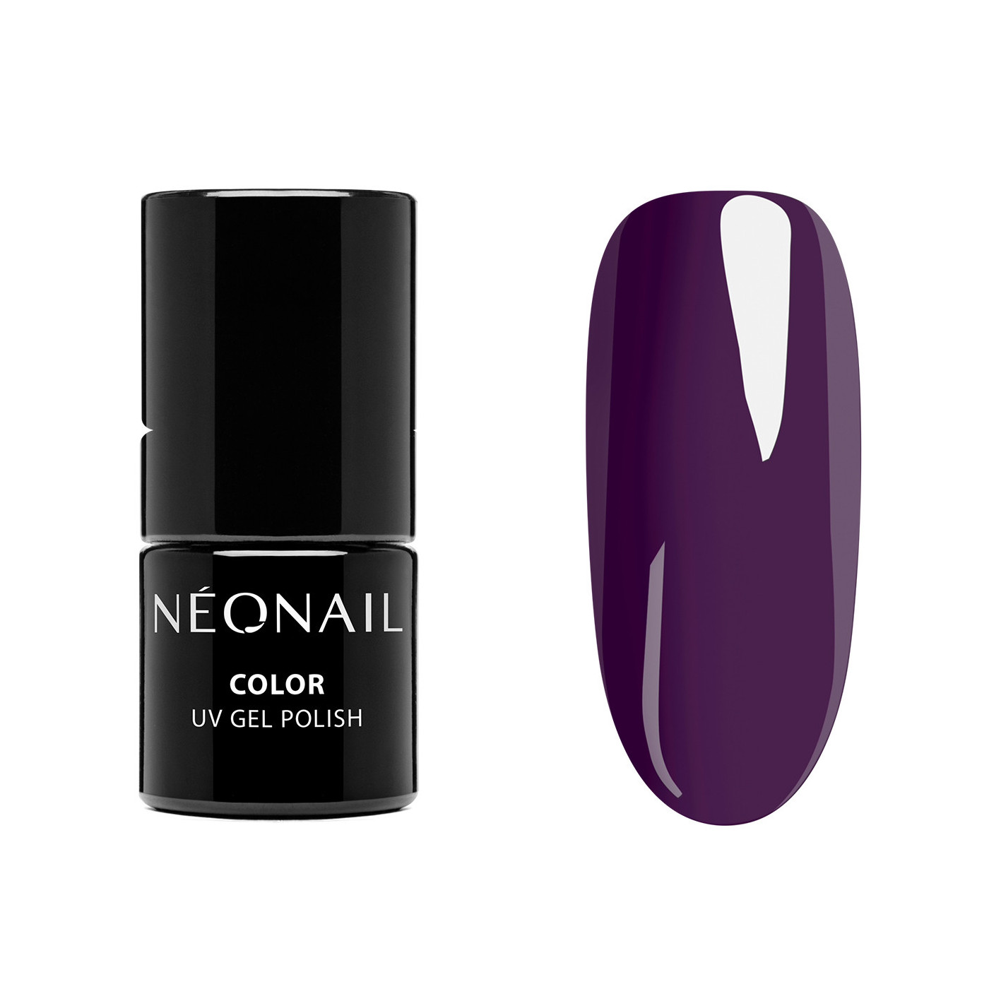 Starter Set Color Favorites