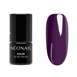 Starter Set Color Favorites