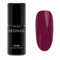 Vernis Semi-Permanent 7,2 ml - Perfect Berry