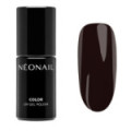 Vernis Semi-Permanent 7,2 ml - Dark Obsidian