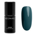 Vernis Semi-Permanent 7,2 ml - Wild Story
