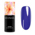 Bold Horizon (Vernis semi-permanent) &ndash; Bleu, finition classique