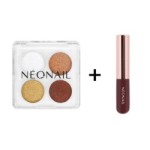 Set de poudres nail art | NEONAIL