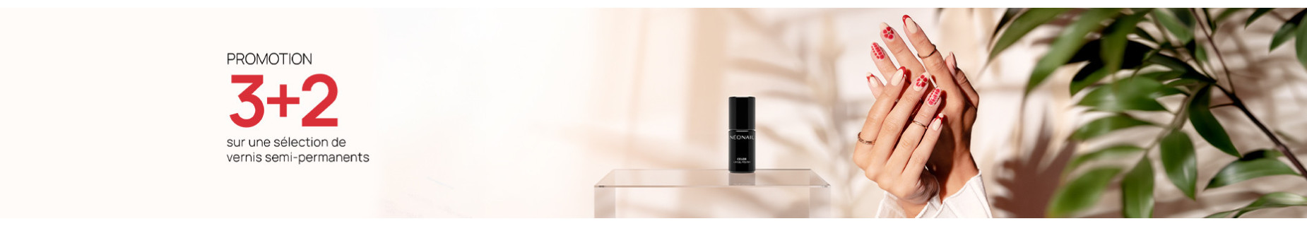 VERNIS