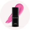 VERNIS
